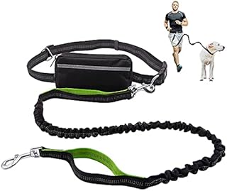 Hands Free Dog Lead for Running Walking Training Hiking, Dual-Handle Shock Absorbing Reflective Bungee, Adjustable Waist Belt and Pouch, Ideal for Medium to Large Dogs(Black/Green)