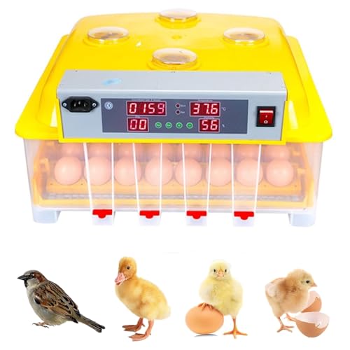 Incubateur d'œufs for l'éclosion de 48 œufs avec suivi visuel et gestion LED simple