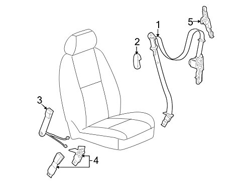 General Motors, Belt Kit, 19121538