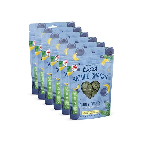 Burgess Excel Fruity Feasts, Baked Nature Snacks With Banana & Blueberry 360g. Healthy Treats for Rabbits & Guinea Pigs (6 Packs of 60g)