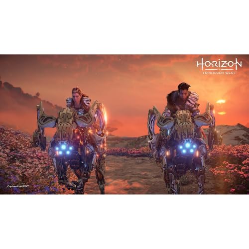 Horizon: Zero Dawn Remastered /PS5 - vue 4