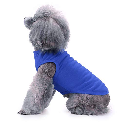 Dog Shirts Clothes, Chol&Vivi Dog Clothes T Shirt Vest Soft And Thin, 2Pcs Blank Shirts Clothes Fit For Extra Small Medium Large Extra Large Size Dog Puppy, Medium Size, Blue And Purple #TOP4