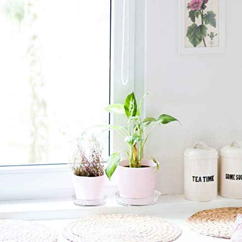 Plant Saucer,5 Pack Heavy Duty Plastic Plant Saucer Drip Trays Small Plant Plate Dish,Heavy Duty Clear Plastic Plant Saucers Flower Pot Tray Flower Pot Drip Pan For Indoor And Outdoor Plants (8 Inch) #TOP4