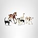 Schleich Farm World - 5PC Realistic Farm Animal Figurines for Boys and Girls - Realistic Barn Animal Playset with Cow, Cat, Dog, Goose and Horse - Barnyard Figures for Toddlers - Kids Ages 3+ | 45784