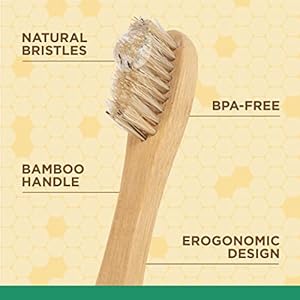 Burtsbeesforpetsnaturallyderivedoralcarekitdogdentalkitwithtoothpastebambootoothbrushdogtoothbrushandtoothpastewithhoneysucklepeppermintoilfreshmintflavor25oz  Urban Country Home Decor Burts bees for pets naturally derived oral care kit dog dental kit with toothpaste bamboo toothbrush dog toothbrush and toothpaste with honeysuckle peppermint oil fresh mint flavor 25 oz  urban country home decor