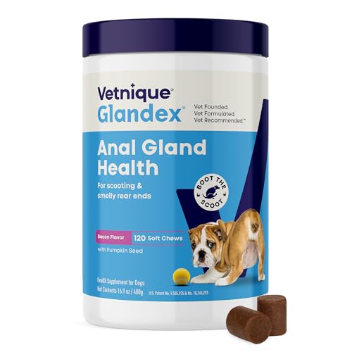 Image of Vetnique Glandex Anal Gland Soft Chew Treats with Pumpkin for Dogs Digestive Enzymes, Probiotics Fiber Supplement for Dogs Boot The Scoot (Bacon Flavor Chews, 120 Count)