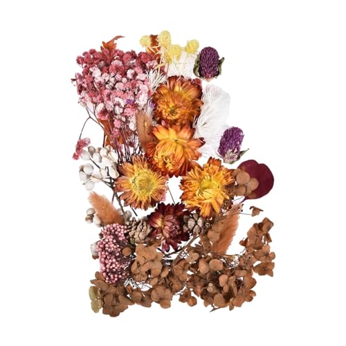 Resin Dried Flowers - Beautiful Colorful Real Flora | 10 Colors Supplies For Making Scented Candles, Epoxy Resins, Pendants, Nec
