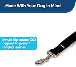 PetSafe Nylon Dog Leash - Strong, Durable, Traditional Style Leash with Easy to Use Bolt Snap - 3/4" x 6', Black