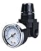Arrow Pneumatics R262G 1/4" Mini Reg, Nylon Body, Gauge, 40 degreeF to 120 degreeF, 250 Psig Max Pressure1/8" Standard, Full Flow Ports