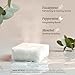 Shower Steamers Aromatherapy - USA Made with Natural Ingredients & Eucalyptus Essential Oil, Large Shower Bombs, Relaxation Spa Gifts for Women & Men, Unique Self Care Gifts