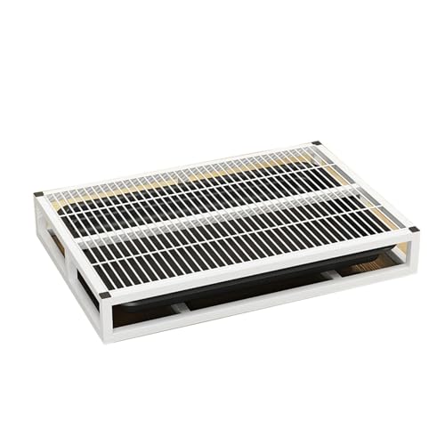 o pgCgC pgC Ə𐴌ɕۂ iq̊~߂pbhz_[, S