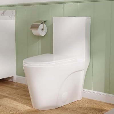 DeerValley Elongated One Piece Toilet with Comfortable Chair Seat Height 17", Dual Power Flush Toilet 1.1/1.6 GPF and 10” Rough-in Toilet Bowl DV-1F52102R