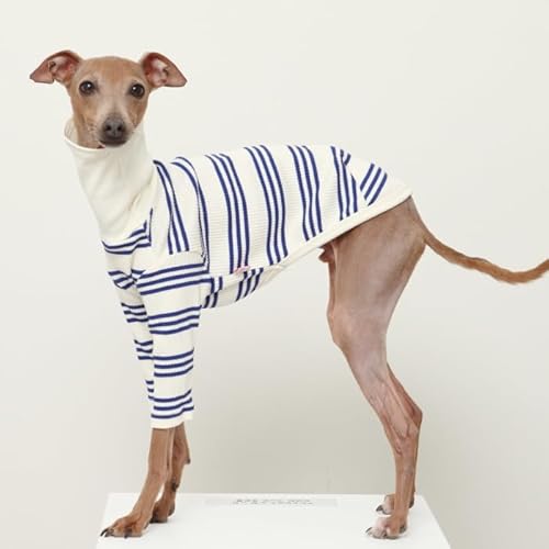 D DOGGY STAR C^O XgCv TVc C^A O[nEh xhgeA EBybg hbO EFA (, M)