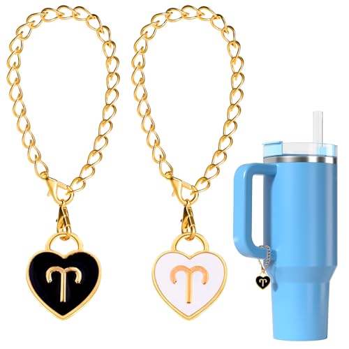 Utuichuo Lot de 2 breloques en forme de cœur en émail avec signe du zodiaque pour tasse Stanley, breloques d'identification des constellations pour gobelet simple et moderne, Fer