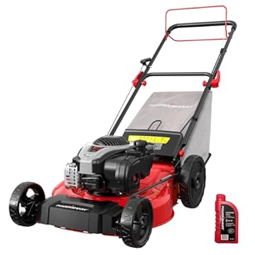 briggs and stratton lawn mower