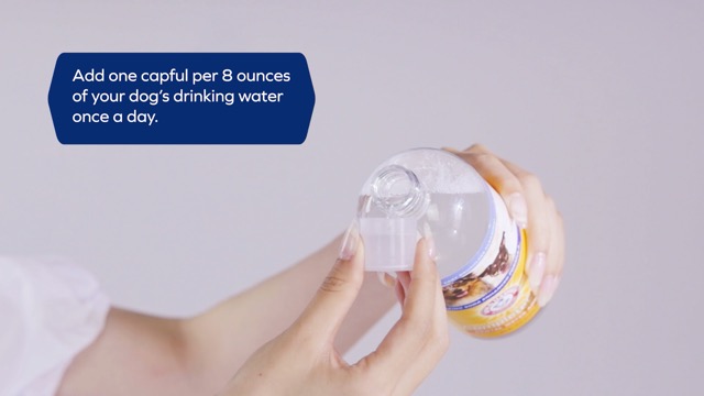 Arm & Hammer Dog Dental Water Additive Breath Freshener, Odorless Flavorless Oral Care Solution for Plaque and Tartar Control, Daily No Brush Dental Support for Dogs, 16 Fl Oz - image 8