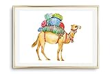 Din A4 Kunstdruck ohne Rahmen - Geschmücktes Dromedar mit 
