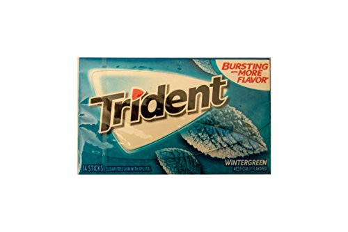 Mondelez Global Trident Wintergreen, 14 ct