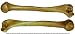 Human Humerus 2 Pieces, Earth-Tone Brown Relic, Left and Right Arm Bones Replica Life Size for Anatomical - Medical School Studies