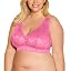 Rani Pink