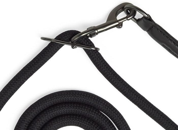 Reddy by Petco Hands-Free Rope Leash for Dogs Black 9-ft Long 5/8-in Wide