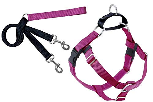 2 Hounds Design Freedom No-Pull Dog Harness With Leash, Small, 5/8-Inch Wide, Raspberry #TOP15