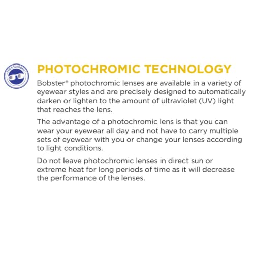 Bobster ® Charger, Gloss Black Frame, Rose Lens3