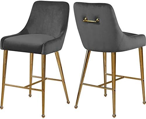 Meridian Furniture Owen Collection Modern | Contemporary Velvet Upholstered Counter Stool with Polished Gold Metal Legs, Set of 2, 23" W x 21" D x 40" H, Grey