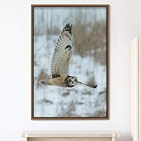 Framed Canvas Wall Art Owl Birds Dramatic Farmhouse/Country Home Office Multicolor Owl Photography - 16x24 inches