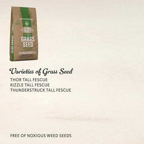 Mini Clover Lawn Seed Blends For Soil Improvement