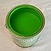 ChromaKey Green Paint 1 Gallon Green Screen Equivalent