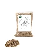 Jo Jo's Organics Certified Organic Rye Berries | 5 lbs (Pounds) | Whole Wheat Grain | Bulk Dry | Great for Breads | Product of USA