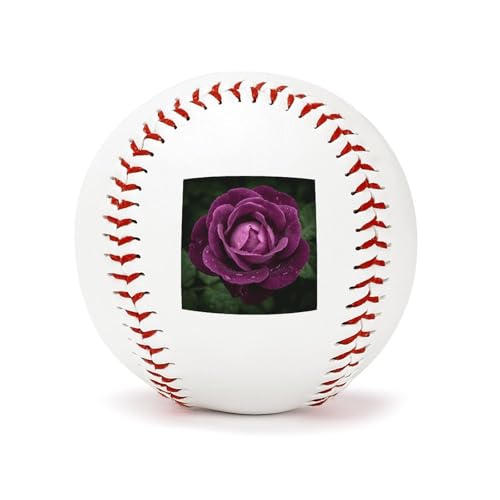 TESBNDDJ Deep Purple Rose Baseballs Leather Cover,Use Practice Baseballs with