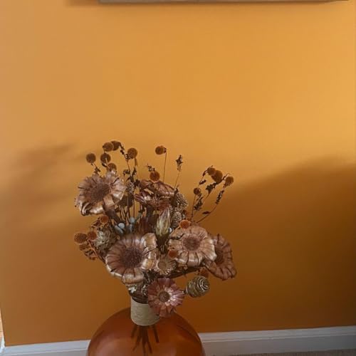 Ramillete de Echinops Secos 3 Ramos Naranja Decoración miniatura 5