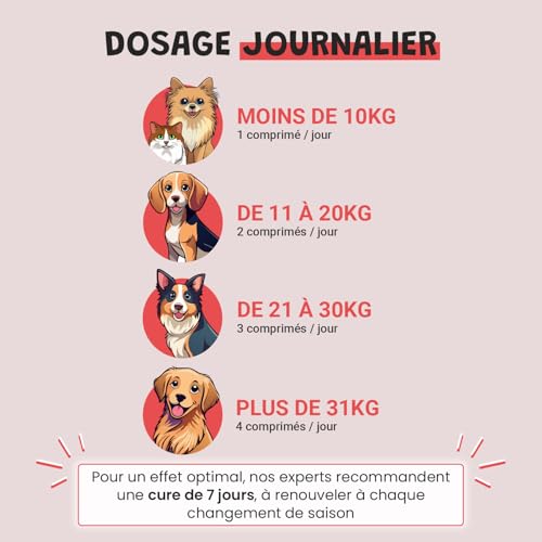 Vermifuge Naturel Chien Chat - Antiparasitaire Plantes Courge Ail Thym - vers Intestinaux - 30 Comprimés - Chien 2-10kg 10-20kg 20-40kg - Formulé par des Vétérinaires - Fabriqué en France – vue 5