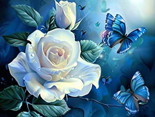 Diamond Painting Adulte Roses et Papillons 40x50cm G0-715