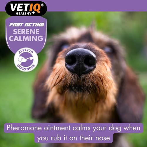 VETIQ Serene Calming Ointment For Dogs & Puppies, Fast Acting Natural Anxiety Relief, Simple Application to Dogs Nose - Image 3