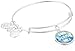 Alex and Ani Words are Powerful, Good Vibes Only EWB Shiny Silver Bangle Bracelet