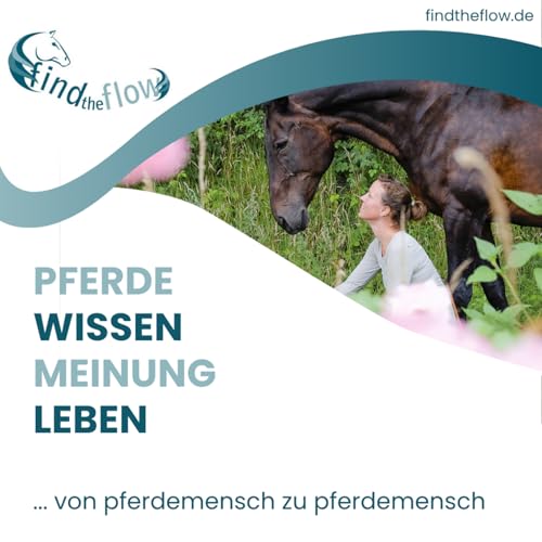 『Nancy Heiber - worum geht es in der Pferdeausbildung?』のカバーアート
