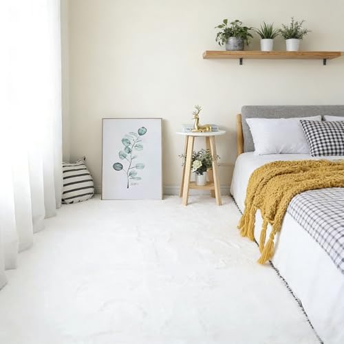 Tapis moderne doux salon 160x310 cm lavable blanc