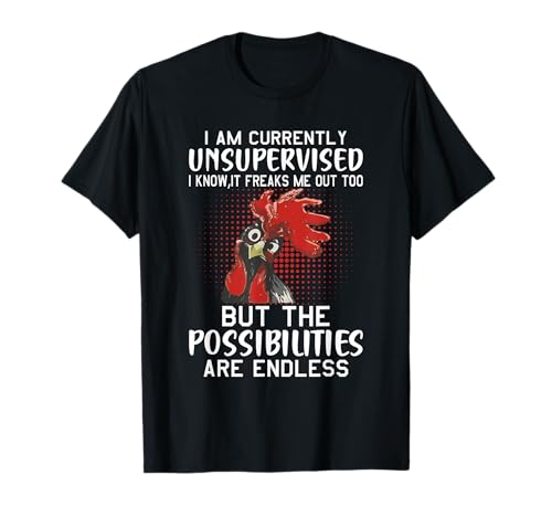 I am currently Unsupervised - Funny sayings T-Shirt