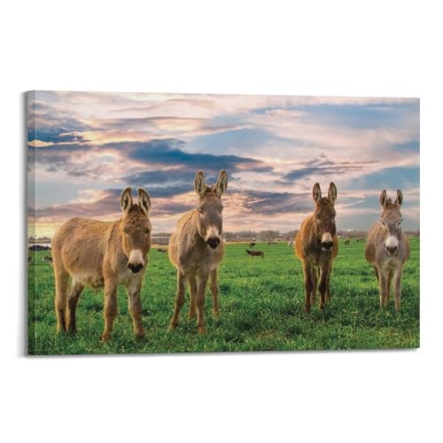 Âne irlandais sur toile déco nature pour salon et chambre 20x30