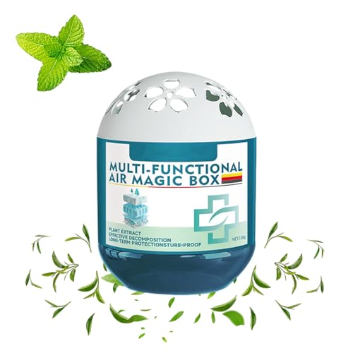 Multifunctional Air Purification Dust Removal Magic Box