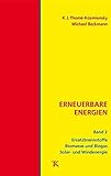 Erneuerbare Energien, Band 2: Ersatzbrennstoffe, Biomasse und Biogas, Solar- und Windenergie