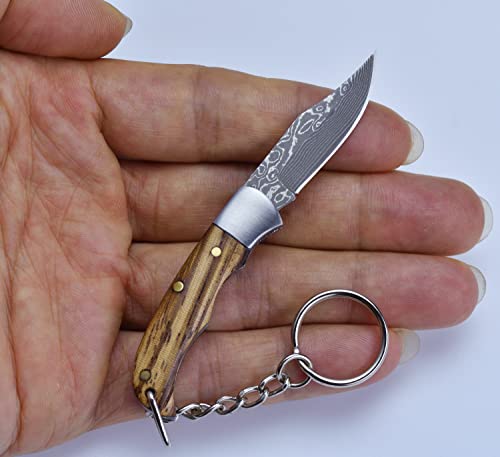 Jpcrmov Mini Pocket Knife Damascus Steel, Small Folding Knife Keychain With Zebrawood Handle, Edc Tiny Knife For Package Box Cutter Or Camping Outdoor #TOP3