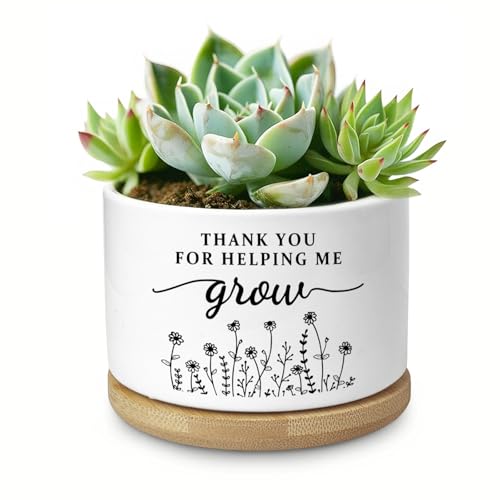 Thank You Teacher Appreciation Gift, Succulent Planter, Flower Ca...