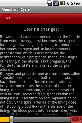 Menstrual Cycle