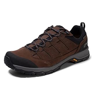 Berghaus Mens Fellmaster Active Gore Tex Waterproof Walking Shoes