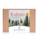 kaktusfrucht essbar LIEBENSWÜRDIGES GESCHENKSET: Nachhaltige Produkte, ein individuelles Weihnachtsgeschenk für die Mama, Papa, Freundin, Freund, beste Freundin, Kollegen, Oma, Opa und Paare. 💗 👍