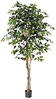 Algopix Similar Product 6 - Nearly Natural 6ft. Ficus Silk Tree